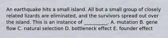 An earthquake hits a small island. All but a small group of closely related lizards are eliminated, and the survivors spread out over the island. This is an instance of __________. A. mutation B. gene flow C. natural selection D. bottleneck effect E. founder effect