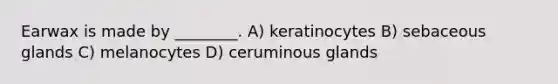 Earwax is made by ________. A) keratinocytes B) sebaceous glands C) melanocytes D) ceruminous glands