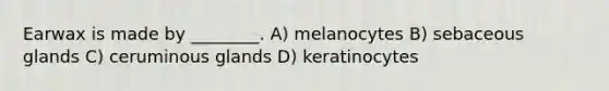 Earwax is made by ________. A) melanocytes B) sebaceous glands C) ceruminous glands D) keratinocytes