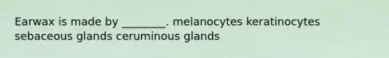 Earwax is made by ________. melanocytes keratinocytes sebaceous glands ceruminous glands