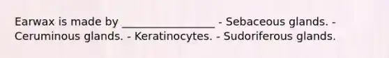 Earwax is made by _________________ - Sebaceous glands. - Ceruminous glands. - Keratinocytes. - Sudoriferous glands.