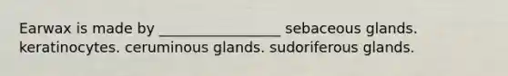 Earwax is made by _________________ sebaceous glands. keratinocytes. ceruminous glands. sudoriferous glands.