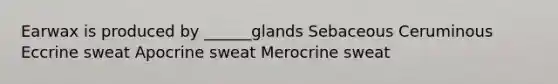 Earwax is produced by ______glands Sebaceous Ceruminous Eccrine sweat Apocrine sweat Merocrine sweat