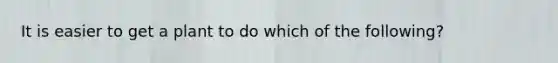 It is easier to get a plant to do which of the following?