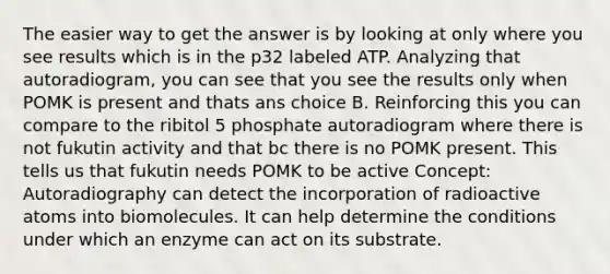 The easier way to get the answer is by looking at only where you see results which is in the p32 labeled ATP. Analyzing that autoradiogram, you can see that you see the results only when POMK is present and thats ans choice B. Reinforcing this you can compare to the ribitol 5 phosphate autoradiogram where there is not fukutin activity and that bc there is no POMK present. This tells us that fukutin needs POMK to be active Concept: Autoradiography can detect the incorporation of radioactive atoms into biomolecules. It can help determine the conditions under which an enzyme can act on its substrate.