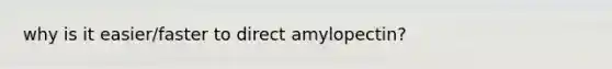 why is it easier/faster to direct amylopectin?