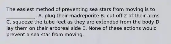 The easiest method of preventing sea stars from moving is to ____________. A. plug their madreporite B. cut off 2 of their arms C. squeeze the tube feet as they are extended from the body D. lay them on their arboreal side E. None of these actions would prevent a sea star from moving.