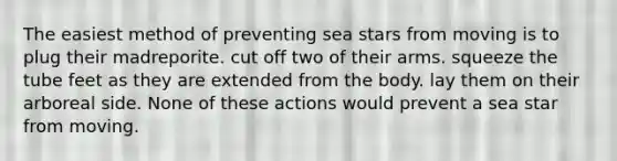 The easiest method of preventing sea stars from moving is to plug their madreporite. cut off two of their arms. squeeze the tube feet as they are extended from the body. lay them on their arboreal side. None of these actions would prevent a sea star from moving.