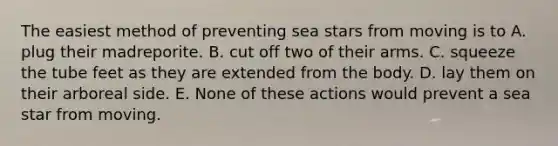 The easiest method of preventing sea stars from moving is to A. plug their madreporite. B. cut off two of their arms. C. squeeze the tube feet as they are extended from the body. D. lay them on their arboreal side. E. None of these actions would prevent a sea star from moving.