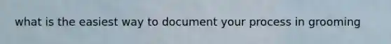 what is the easiest way to document your process in grooming