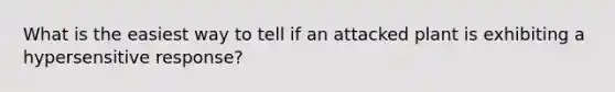 What is the easiest way to tell if an attacked plant is exhibiting a hypersensitive response?