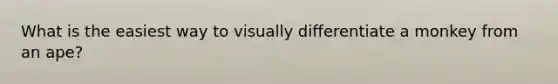 What is the easiest way to visually differentiate a monkey from an ape?