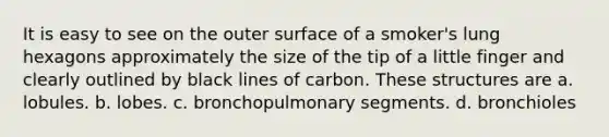 It is easy to see on the outer surface of a smoker's lung hexagons approximately the size of the tip of a little finger and clearly outlined by black lines of carbon. These structures are a. lobules. b. lobes. c. bronchopulmonary segments. d. bronchioles