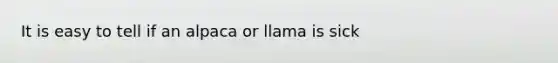 It is easy to tell if an alpaca or llama is sick