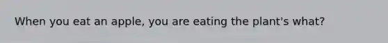 When you eat an apple, you are eating the plant's what?