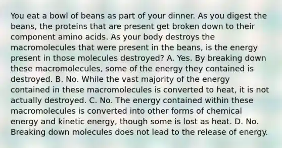 You eat a bowl of beans as part of your dinner. As you digest the beans, the proteins that are present get broken down to their component amino acids. As your body destroys the macromolecules that were present in the beans, is the energy present in those molecules destroyed? A. Yes. By breaking down these macromolecules, some of the energy they contained is destroyed. B. No. While the vast majority of the energy contained in these macromolecules is converted to heat, it is not actually destroyed. C. No. The energy contained within these macromolecules is converted into other forms of chemical energy and kinetic energy, though some is lost as heat. D. No. Breaking down molecules does not lead to the release of energy.