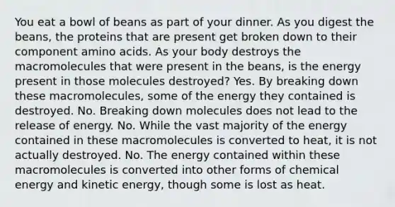 You eat a bowl of beans as part of your dinner. As you digest the beans, the proteins that are present get broken down to their component amino acids. As your body destroys the macromolecules that were present in the beans, is the energy present in those molecules destroyed? Yes. By breaking down these macromolecules, some of the energy they contained is destroyed. No. Breaking down molecules does not lead to the release of energy. No. While the vast majority of the energy contained in these macromolecules is converted to heat, it is not actually destroyed. No. The energy contained within these macromolecules is converted into other forms of chemical energy and kinetic energy, though some is lost as heat.