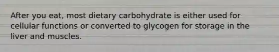 After you eat, most dietary carbohydrate is either used for cellular functions or converted to glycogen for storage in the liver and muscles.