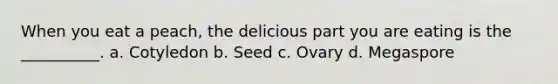 When you eat a peach, the delicious part you are eating is the __________. a. Cotyledon b. Seed c. Ovary d. Megaspore