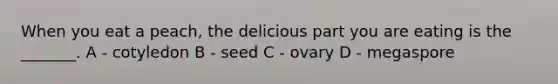 When you eat a peach, the delicious part you are eating is the _______. A - cotyledon B - seed C - ovary D - megaspore