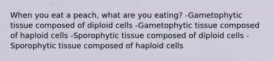 When you eat a peach, what are you eating? -Gametophytic tissue composed of diploid cells -Gametophytic tissue composed of haploid cells -Sporophytic tissue composed of diploid cells -Sporophytic tissue composed of haploid cells