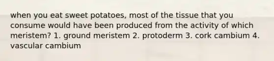 when you eat sweet potatoes, most of the tissue that you consume would have been produced from the activity of which meristem? 1. ground meristem 2. protoderm 3. cork cambium 4. vascular cambium