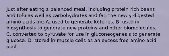 Just after eating a balanced meal, including protein-rich beans and tofu as well as carbohydrates and fat, the newly-digested amino acids are A. used to generate ketones. B. used in biosynthesis to generate new proteins and other biomolecules. C. converted to pyruvate for use in gluconeogenesis to generate glucose. D. stored in muscle cells as an excess free amino acid pool.