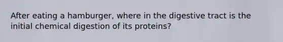 After eating a hamburger, where in the digestive tract is the initial chemical digestion of its proteins?