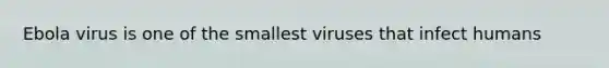 Ebola virus is one of the smallest viruses that infect humans