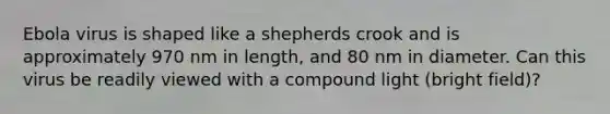 Ebola virus is shaped like a shepherds crook and is approximately 970 nm in length, and 80 nm in diameter. Can this virus be readily viewed with a compound light (bright field)?