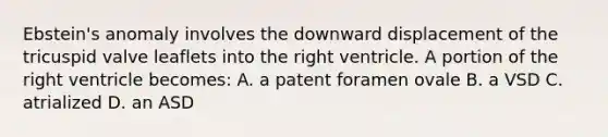 Ebstein's anomaly involves the downward displacement of the tricuspid valve leaflets into the right ventricle. A portion of the right ventricle becomes: A. a patent foramen ovale B. a VSD C. atrialized D. an ASD