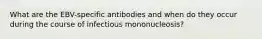 What are the EBV-specific antibodies and when do they occur during the course of infectious mononucleosis?