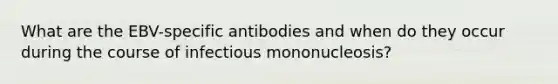 What are the EBV-specific antibodies and when do they occur during the course of infectious mononucleosis?