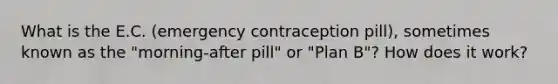 What is the E.C. (emergency contraception pill), sometimes known as the "morning-after pill" or "Plan B"? How does it work?