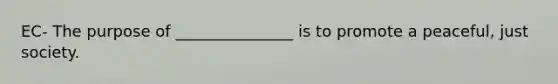 EC- The purpose of _______________ is to promote a peaceful, just society.