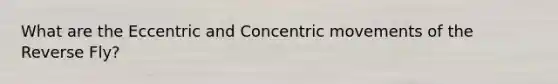 What are the Eccentric and Concentric movements of the Reverse Fly?