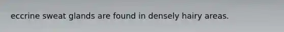 eccrine sweat glands are found in densely hairy areas.