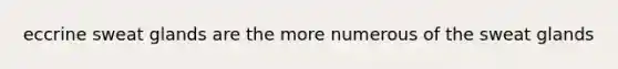 eccrine sweat glands are the more numerous of the sweat glands