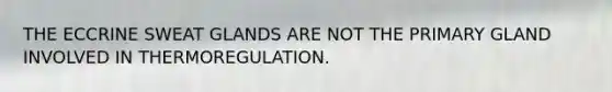 THE ECCRINE SWEAT GLANDS ARE NOT THE PRIMARY GLAND INVOLVED IN THERMOREGULATION.