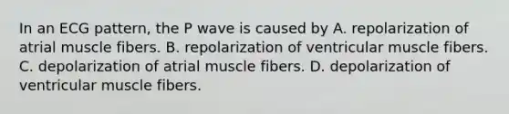 In an ECG pattern, the P wave is caused by A. repolarization of atrial muscle fibers. B. repolarization of ventricular muscle fibers. C. depolarization of atrial muscle fibers. D. depolarization of ventricular muscle fibers.