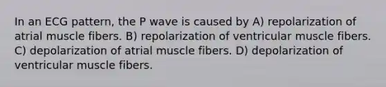 In an ECG pattern, the P wave is caused by A) repolarization of atrial muscle fibers. B) repolarization of ventricular muscle fibers. C) depolarization of atrial muscle fibers. D) depolarization of ventricular muscle fibers.