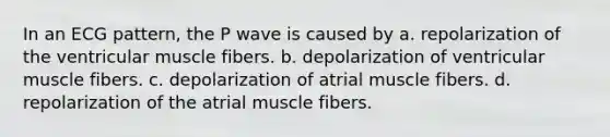 In an ECG pattern, the P wave is caused by a. repolarization of the ventricular muscle fibers. b. depolarization of ventricular muscle fibers. c. depolarization of atrial muscle fibers. d. repolarization of the atrial muscle fibers.