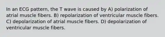 In an ECG pattern, the T wave is caused by A) polarization of atrial muscle fibers. B) repolarization of ventricular muscle fibers. C) depolarization of atrial muscle fibers. D) depolarization of ventricular muscle fibers.