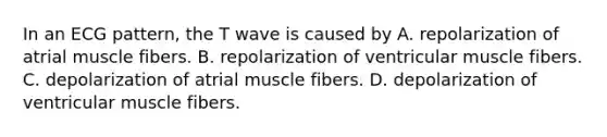 In an ECG pattern, the T wave is caused by A. repolarization of atrial muscle fibers. B. repolarization of ventricular muscle fibers. C. depolarization of atrial muscle fibers. D. depolarization of ventricular muscle fibers.