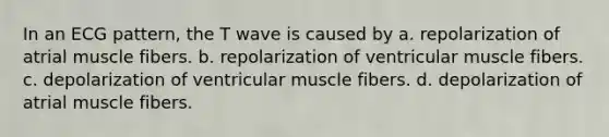 In an ECG pattern, the T wave is caused by a. repolarization of atrial muscle fibers. b. repolarization of ventricular muscle fibers. c. depolarization of ventricular muscle fibers. d. depolarization of atrial muscle fibers.