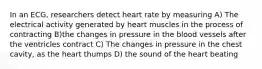 In an ECG, researchers detect heart rate by measuring A) The electrical activity generated by heart muscles in the process of contracting B)the changes in pressure in the blood vessels after the ventricles contract C) The changes in pressure in the chest cavity, as the heart thumps D) the sound of the heart beating