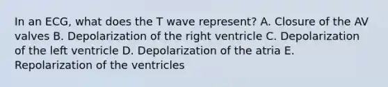 In an ECG, what does the T wave represent? A. Closure of the AV valves B. Depolarization of the right ventricle C. Depolarization of the left ventricle D. Depolarization of the atria E. Repolarization of the ventricles