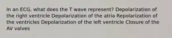 In an ECG, what does the T wave represent? Depolarization of the right ventricle Depolarization of the atria Repolarization of the ventricles Depolarization of the left ventricle Closure of the AV valves