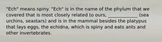 "Ech" means spiny. "Ech" is in the name of the phylum that we covered that is most closely related to ours, _____________ (sea urchins, seastars) and is in the mammal besides the platypus that lays eggs, the echidna, which is spiny and eats ants and other invertebrates.