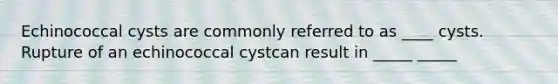 Echinococcal cysts are commonly referred to as ____ cysts. Rupture of an echinococcal cystcan result in _____ _____